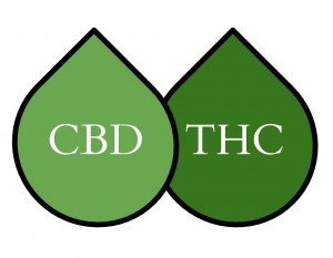 cbd vs thc