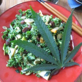 Cannabis Edibles - cannabis and kale salad