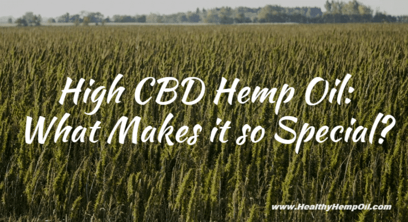 High CBD Hemp - Featured Image