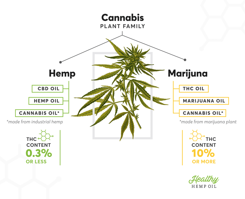 Can You (Legally) Buy THC Oil, Cannabis Oil or Marijuana Oil - Hemp vs Marijuana