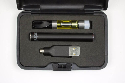 Alternate Vape: CBD Vape Shot Kit (with Case, Battery & Charger) – 1ml/250 mg - Image 2