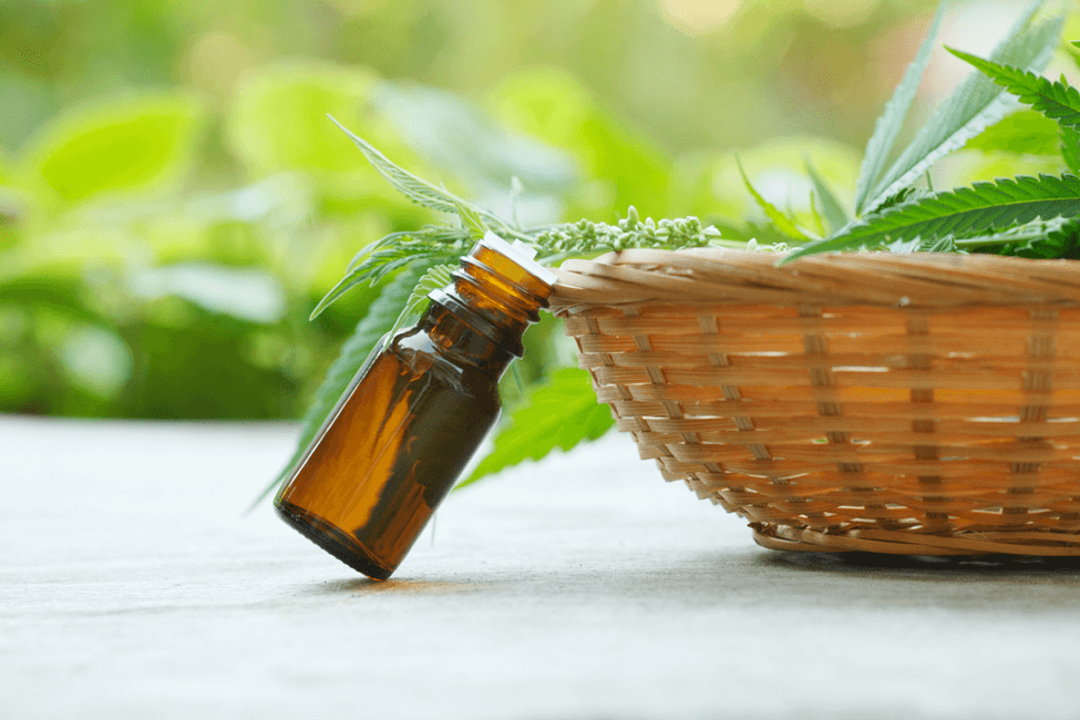 Hemp Oil Basics