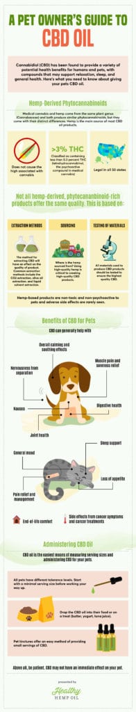 A Pet Owner's Guide to CBD Oil Infographic | Healthy Hemp Oil