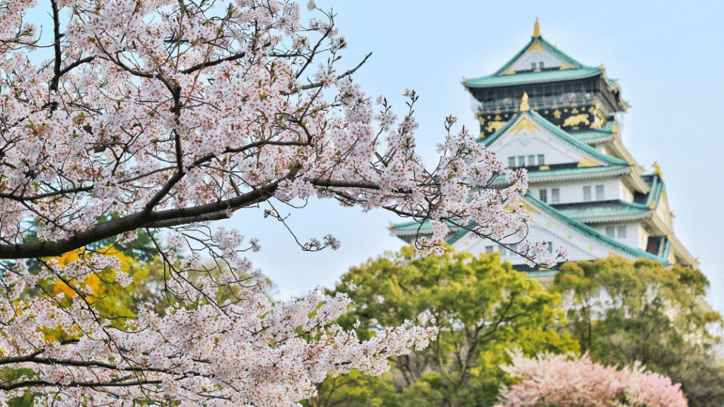 CBD legal in Japan